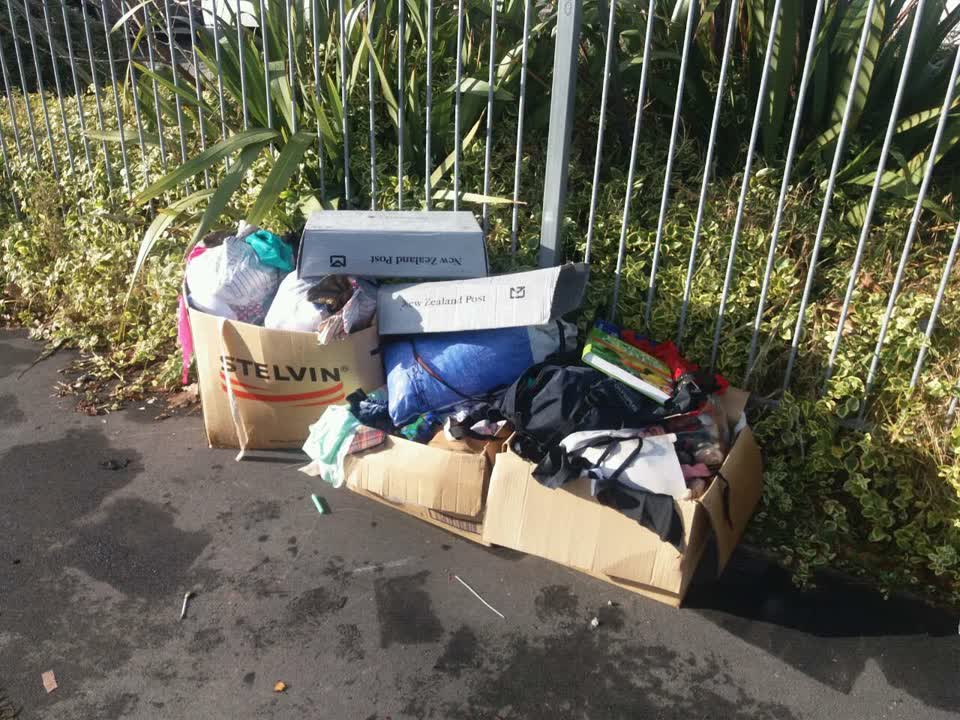 The photograph attached to this rubbish/recycling report