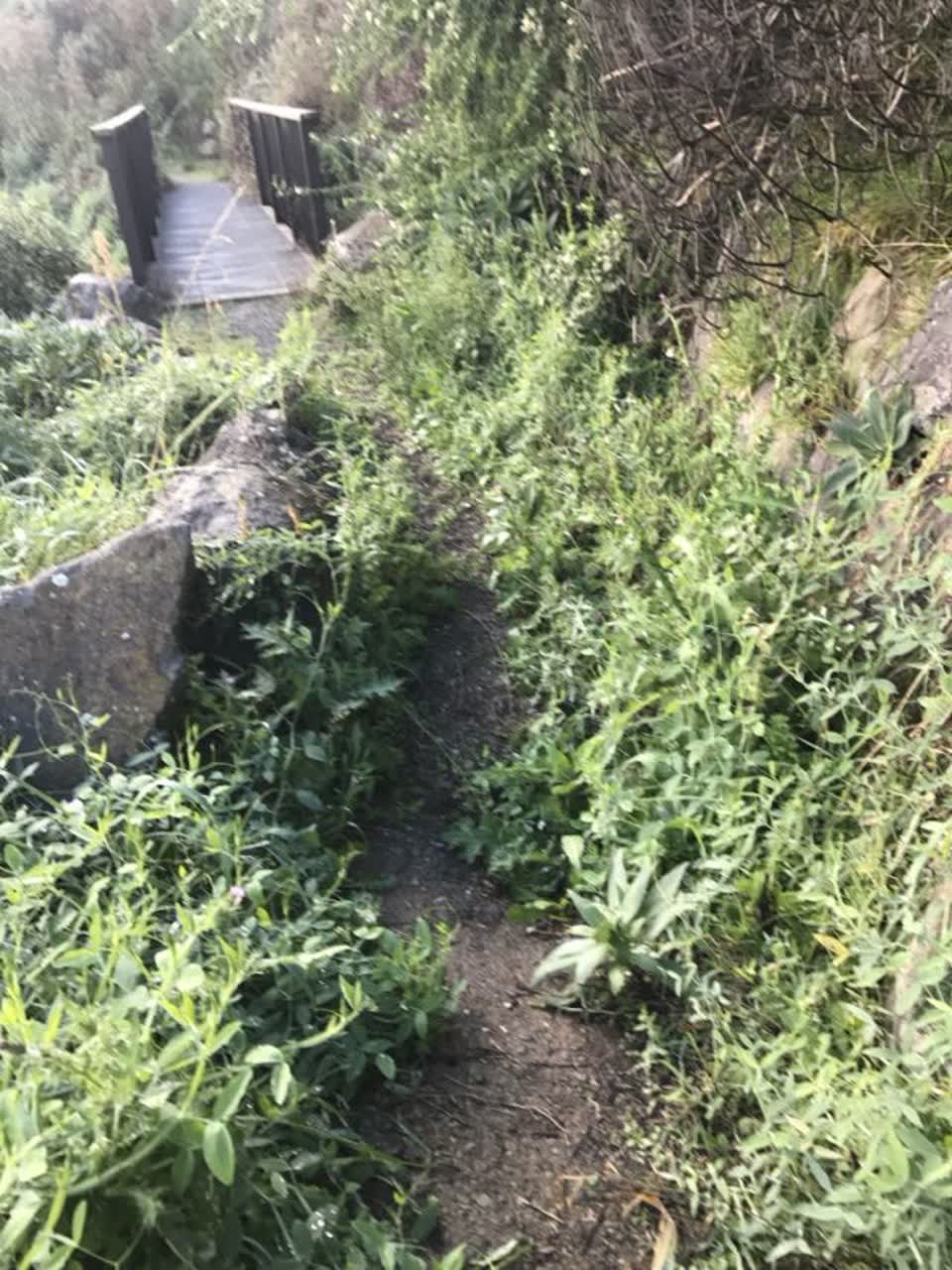 The photograph attached to this parks report