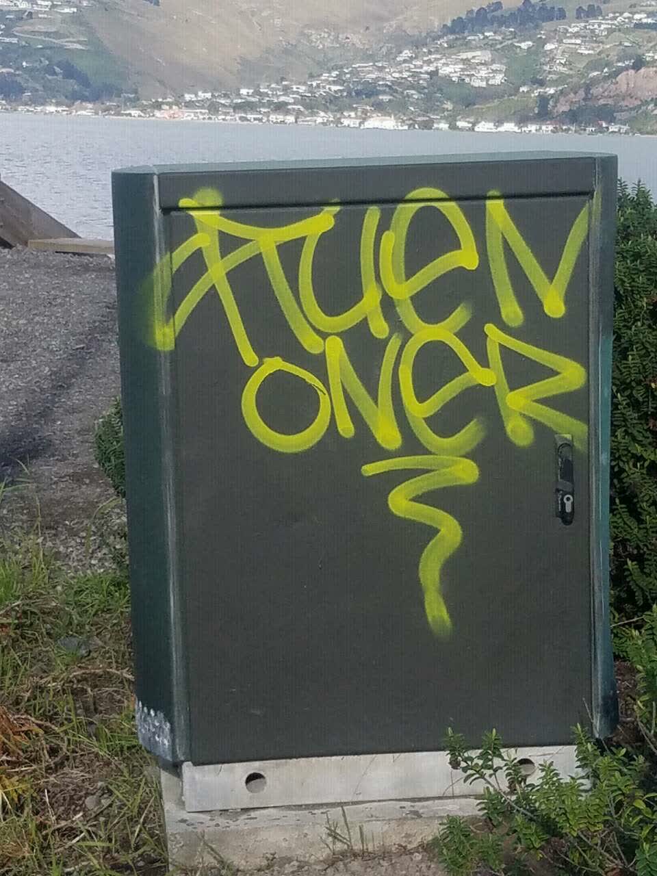 The photograph attached to this graffiti report