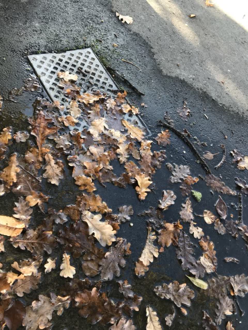 The photograph attached to this water supply report