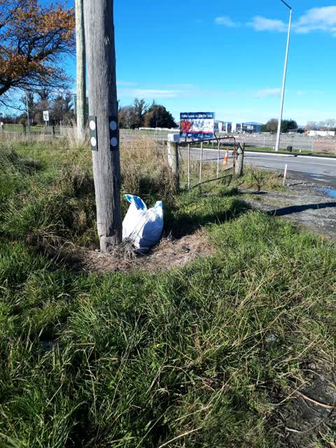 Rubbish/Recycling, a report photo