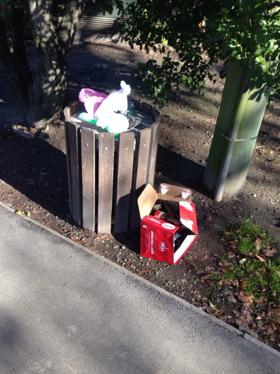 The photograph attached to this rubbish/recycling report