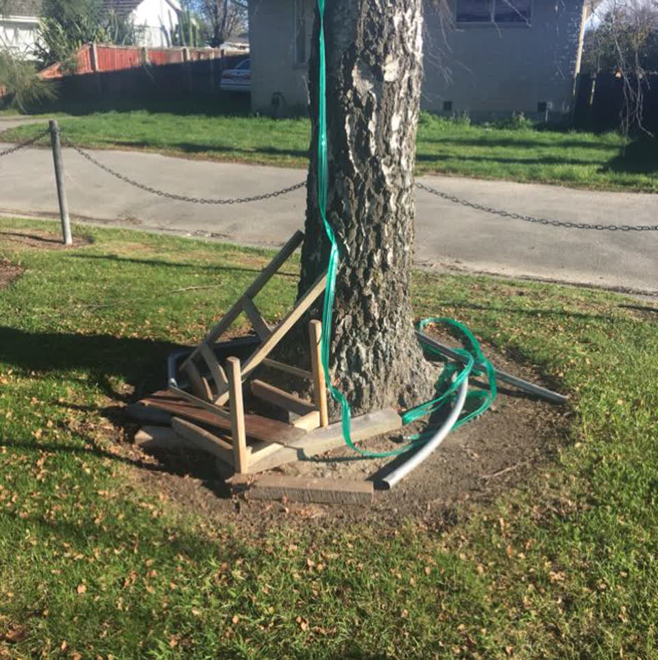 The photograph attached to this parks report
