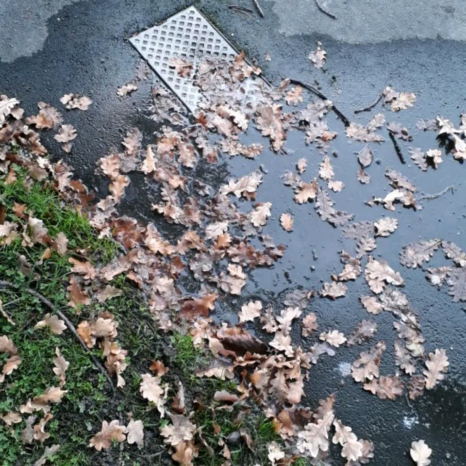 The photograph attached to this water supply report