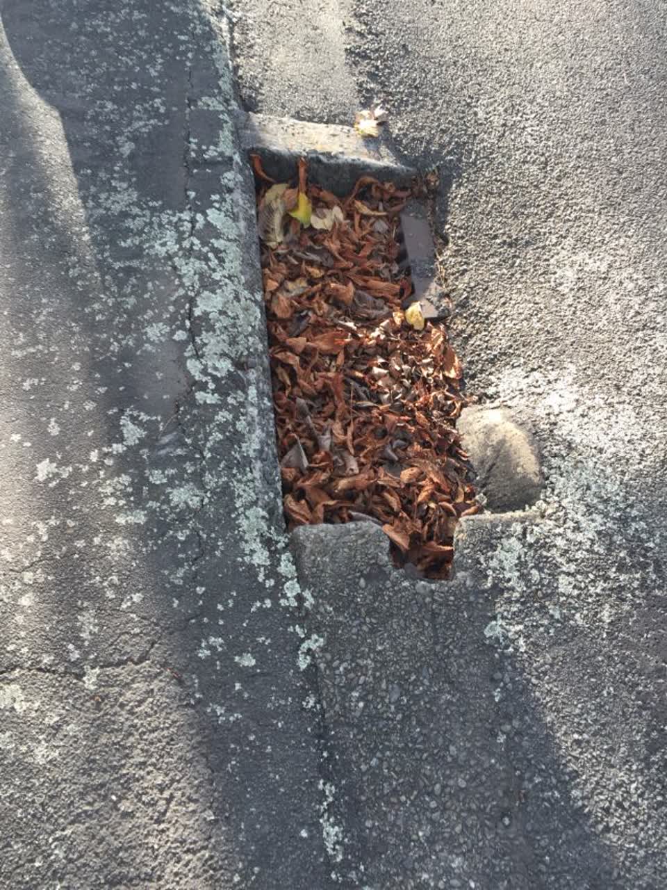 The photograph attached to this wastewater/stormwater report