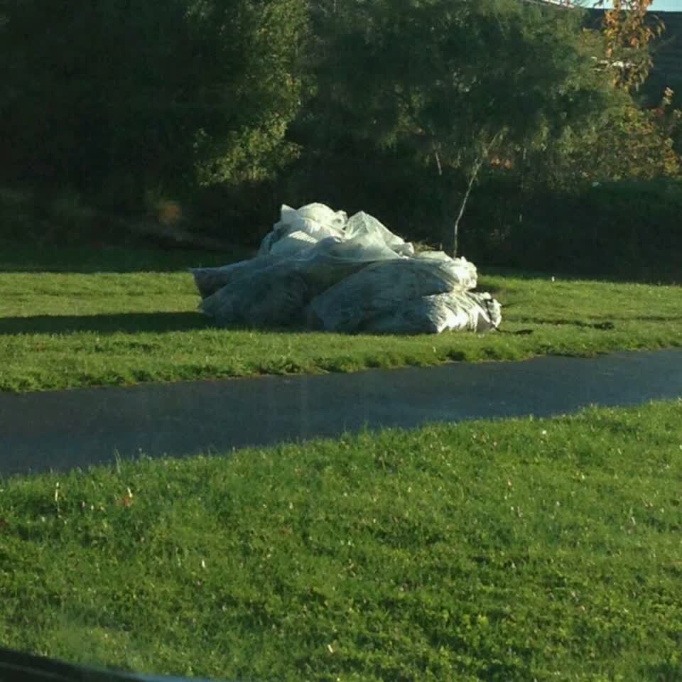 The photograph attached to this parks report
