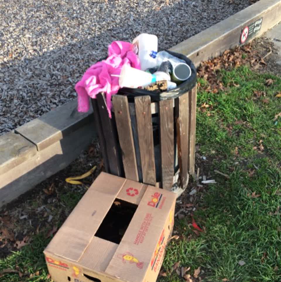 The photograph attached to this parks report