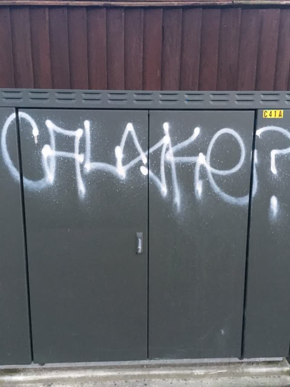 The photograph attached to this graffiti report