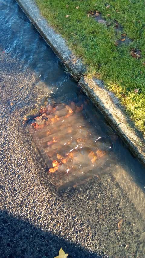 Flooding, a report photo