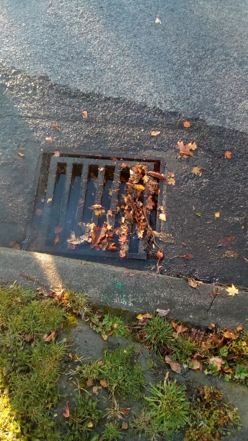 The photograph attached to this flooding report