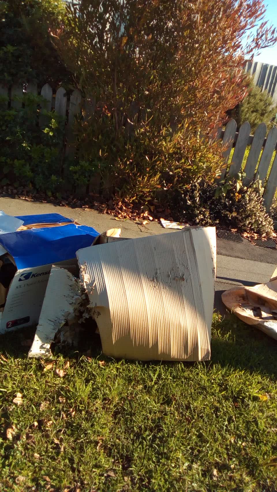 The photograph attached to this rubbish/recycling report