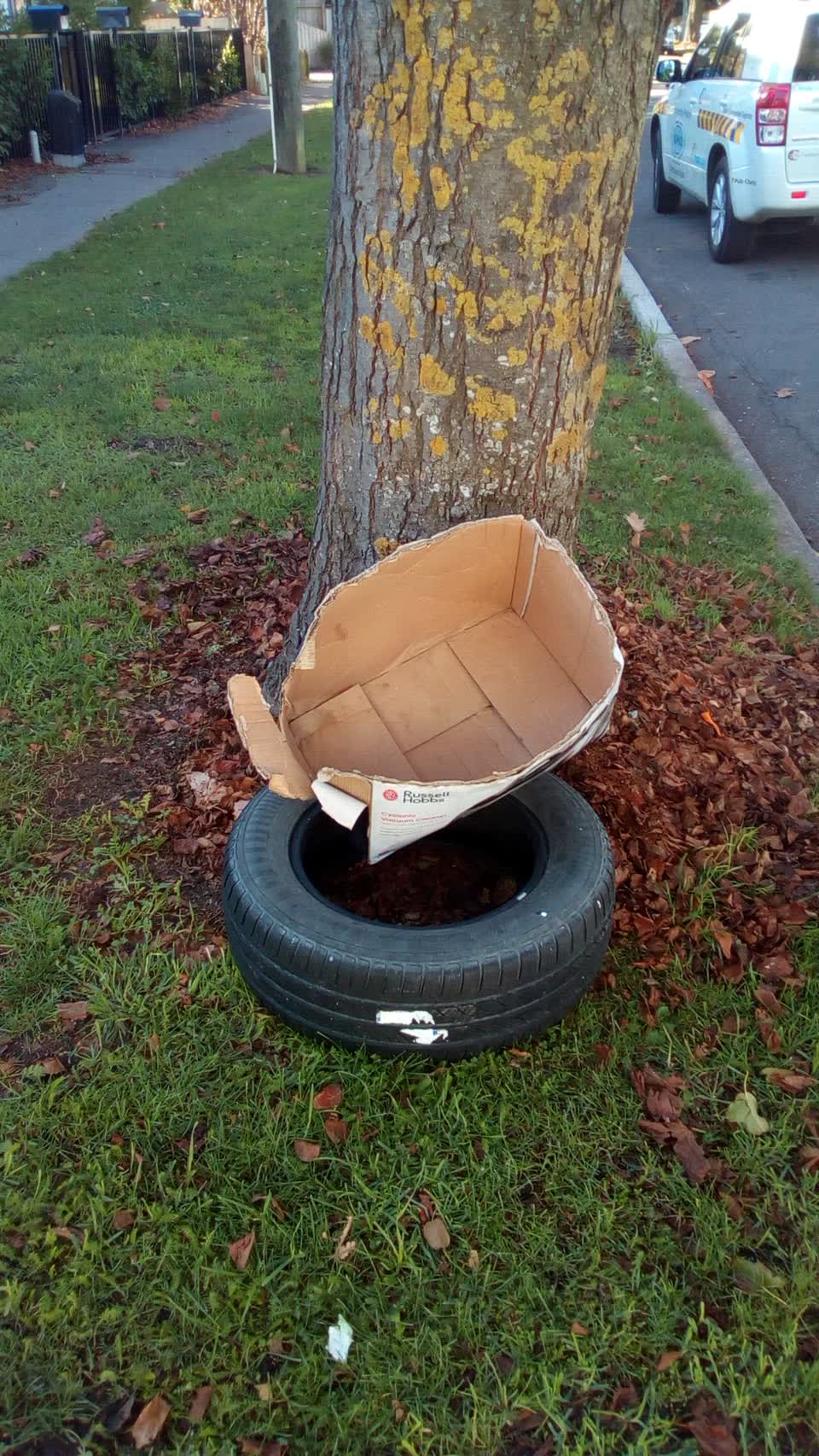 The photograph attached to this rubbish/recycling report