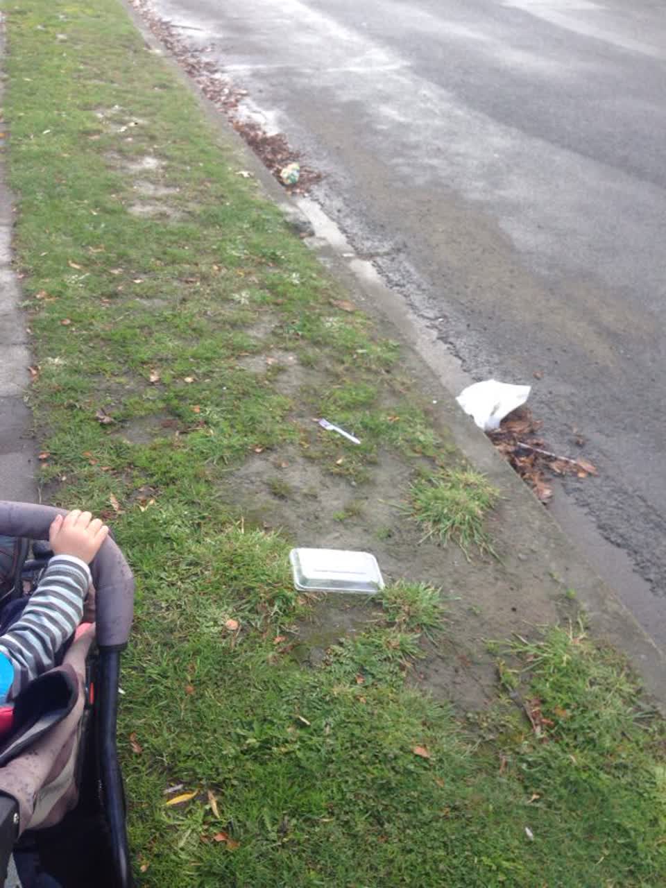 The photograph attached to this rubbish/recycling report