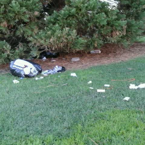 Parks, a report photo