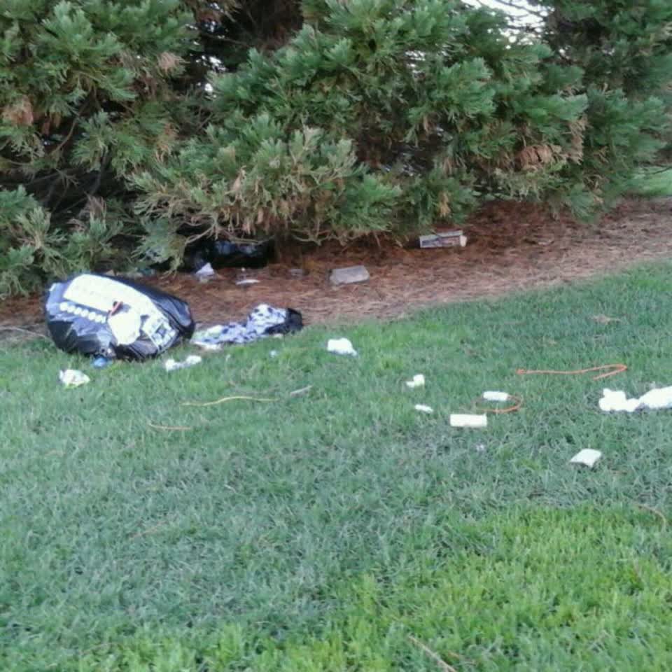 The photograph attached to this parks report