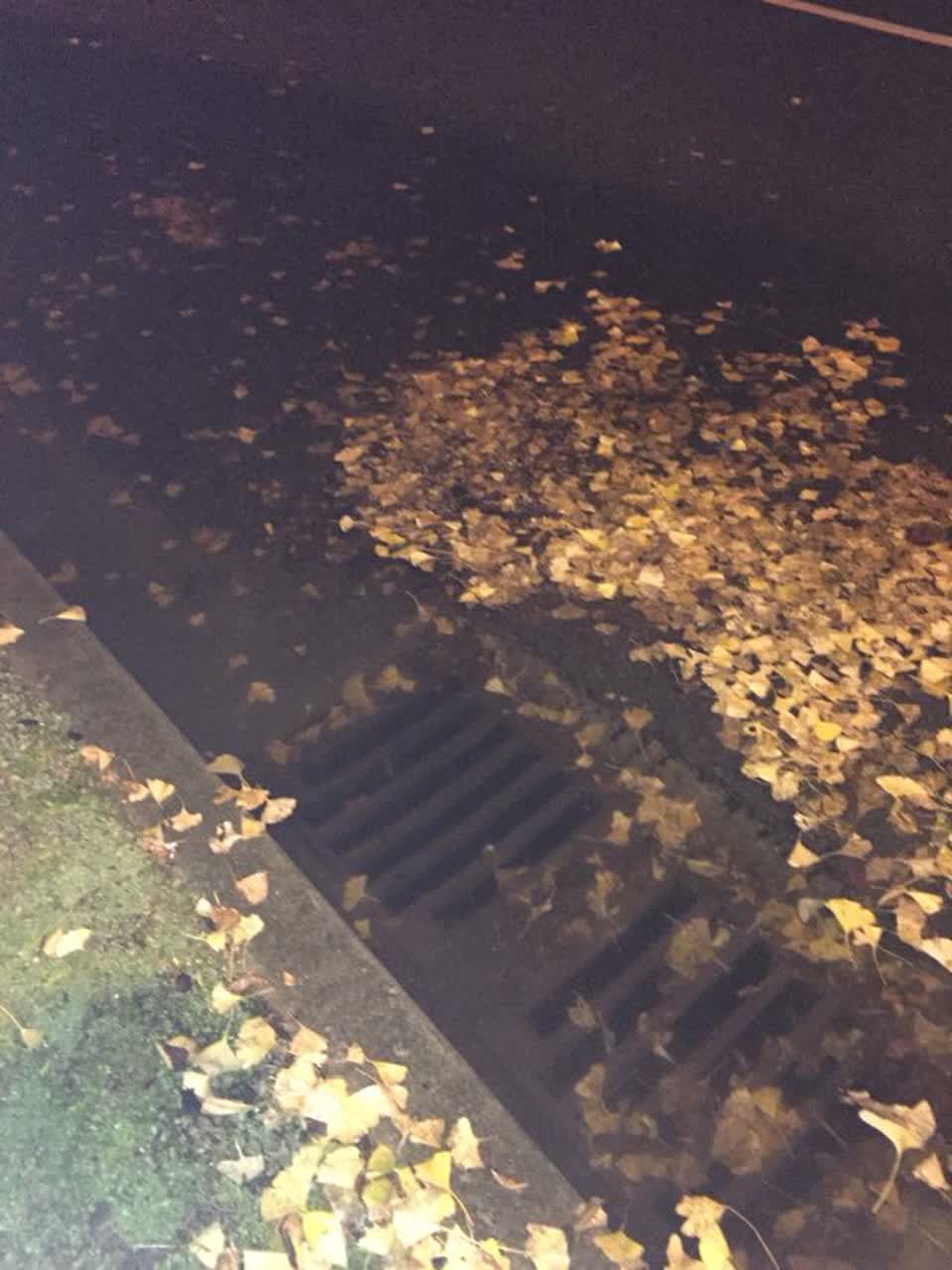 The photograph attached to this flooding report