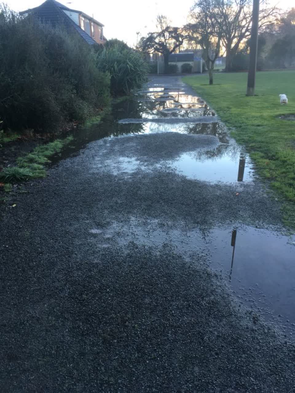 The photograph attached to this parks report