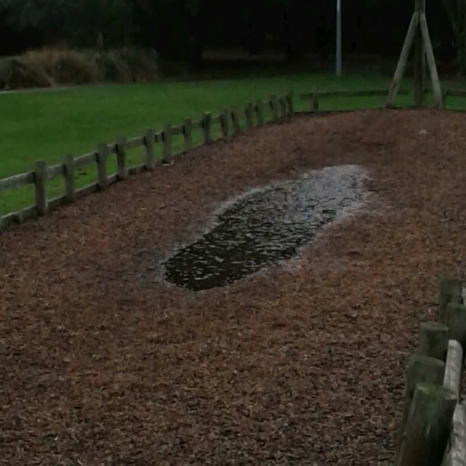 The photograph attached to this parks report