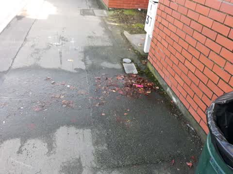 Wastewater/Stormwater — a report photo