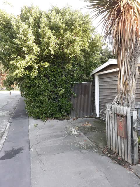 Roading/Streets, a report photo