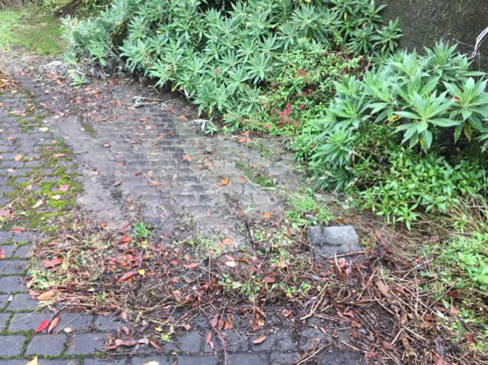 The photograph attached to this wastewater/stormwater report