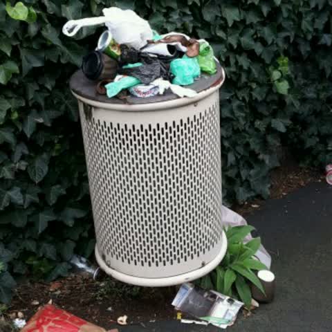 Rubbish/Recycling, a report photo