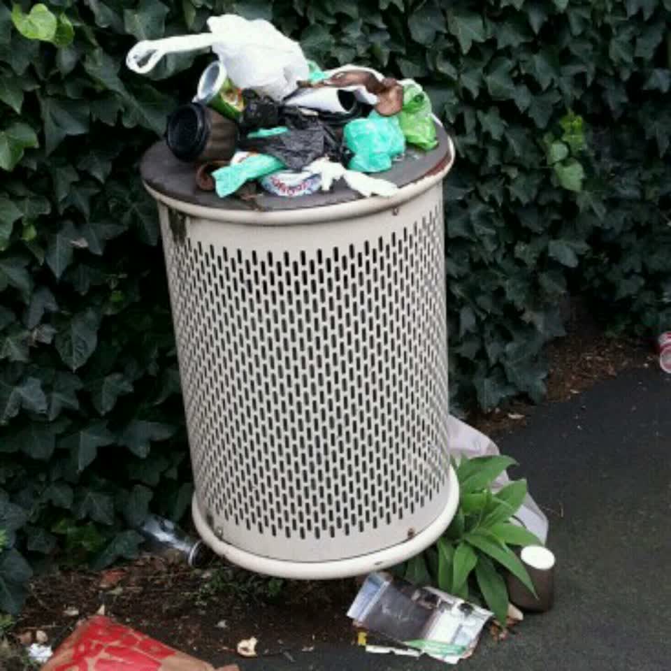 The photograph attached to this rubbish/recycling report