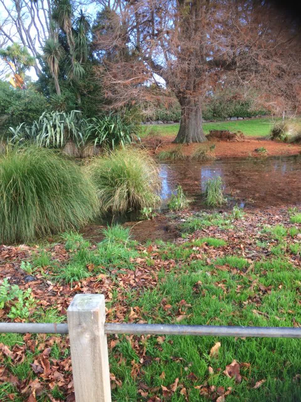 The photograph attached to this flooding report