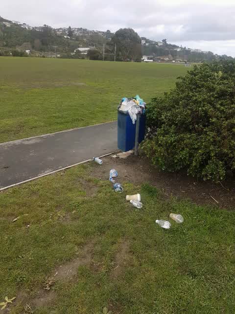 Rubbish/Recycling, a report photo