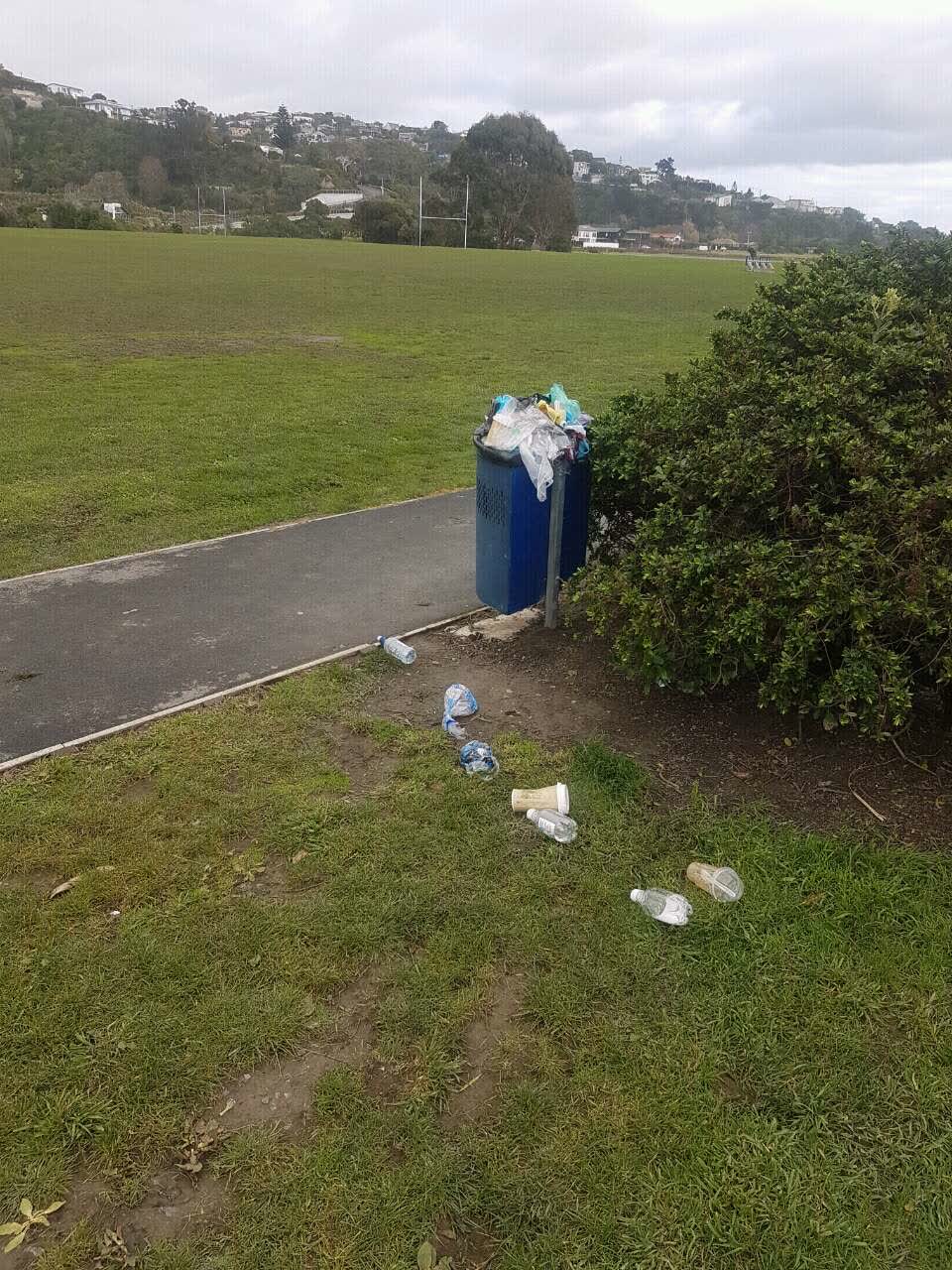 The photograph attached to this rubbish/recycling report