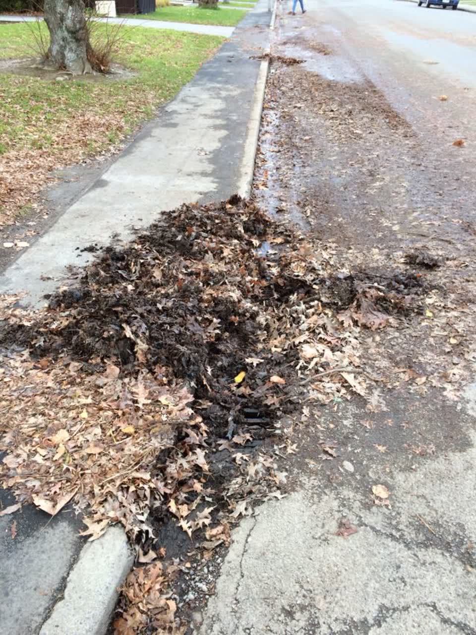 The photograph attached to this wastewater/stormwater report