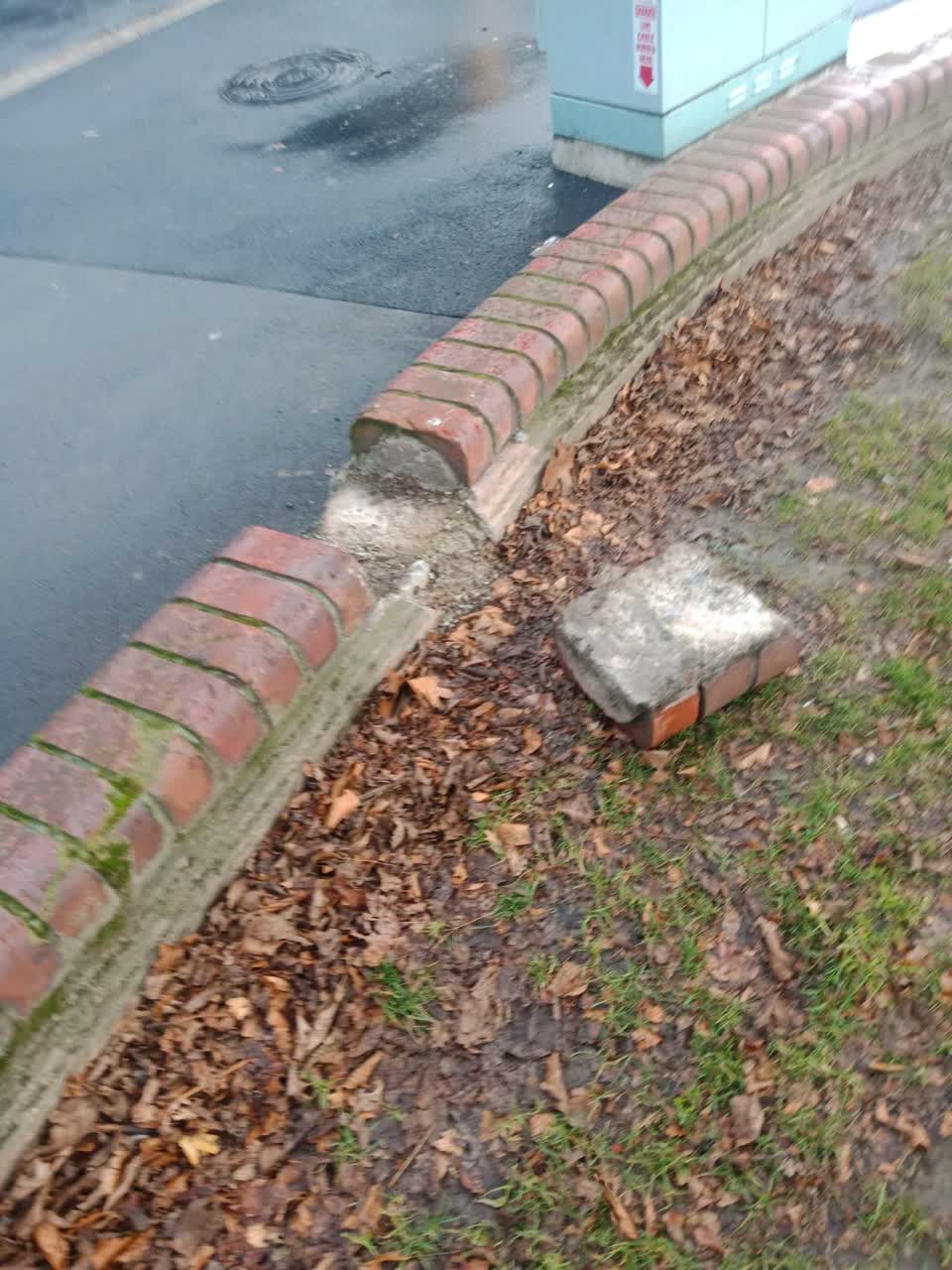 The photograph attached to this parks report