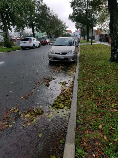 Roading/Streets, a report photo
