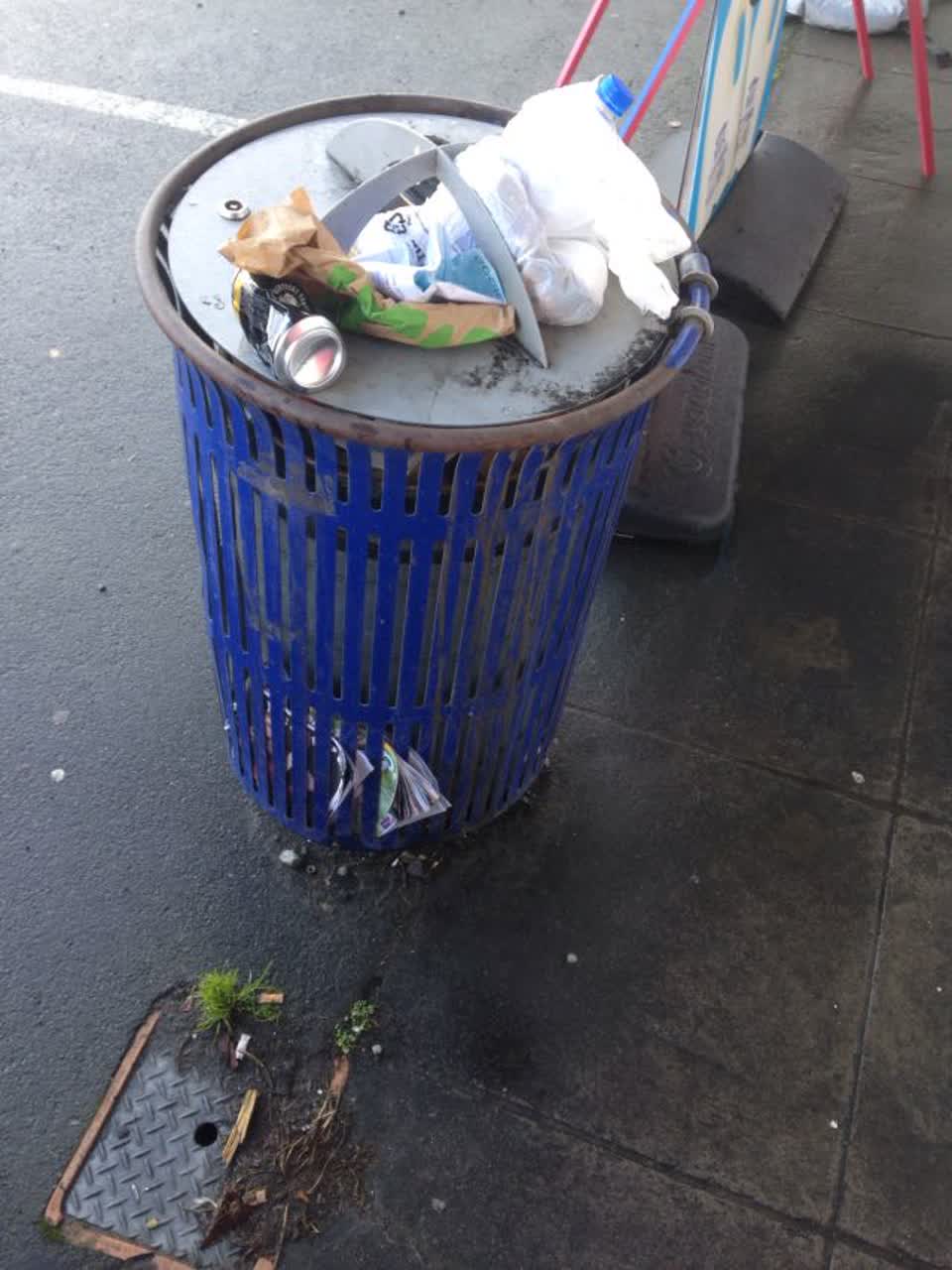 The photograph attached to this rubbish/recycling report