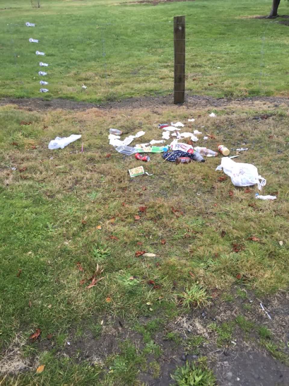 The photograph attached to this rubbish/recycling report