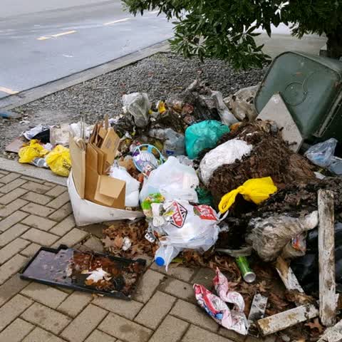 Rubbish/Recycling, a report photo