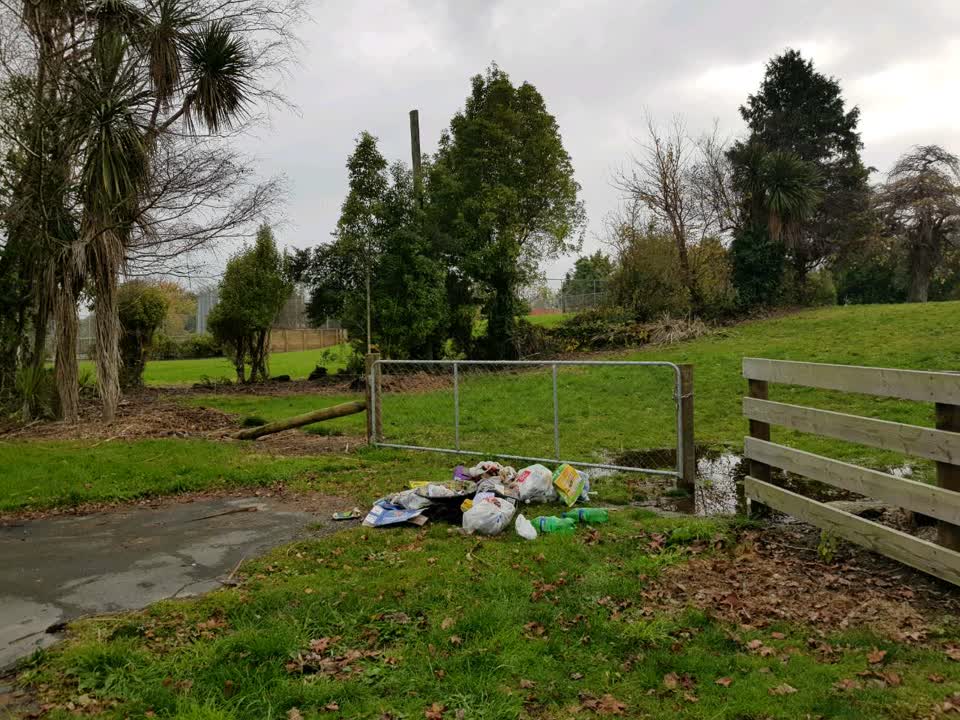 The photograph attached to this rubbish/recycling report