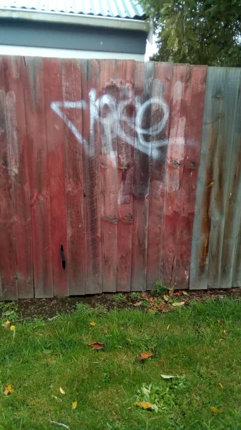 Graffiti, a report photo