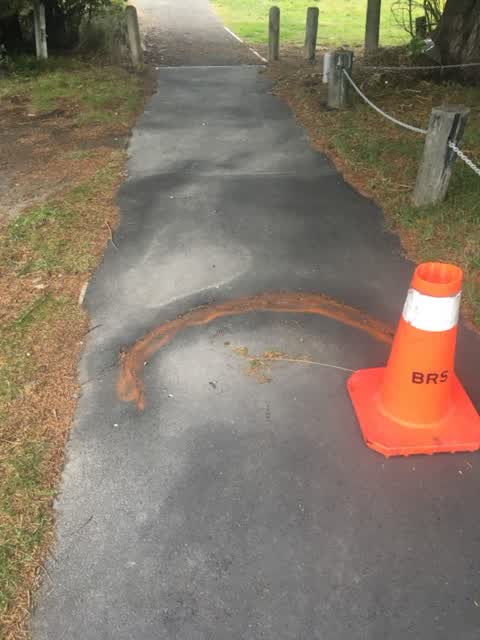 Roading/Streets, a report photo