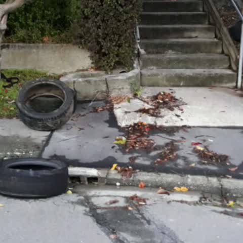 Rubbish/Recycling, a report photo