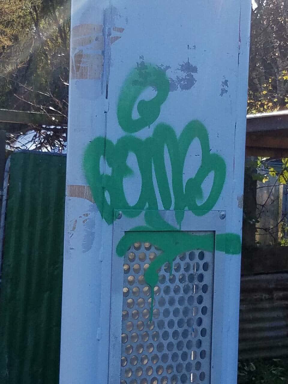The photograph attached to this graffiti report