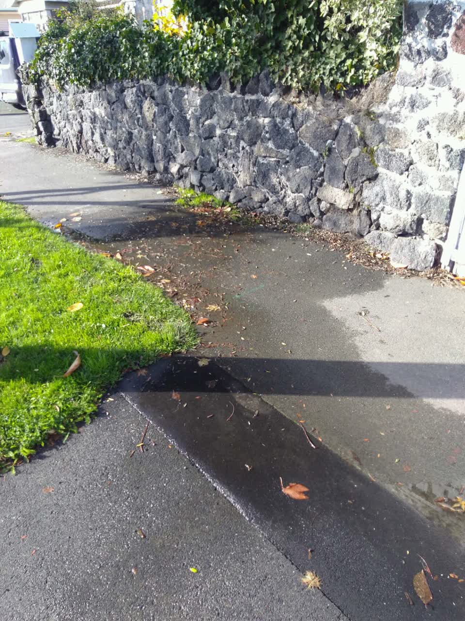 The photograph attached to this water supply report
