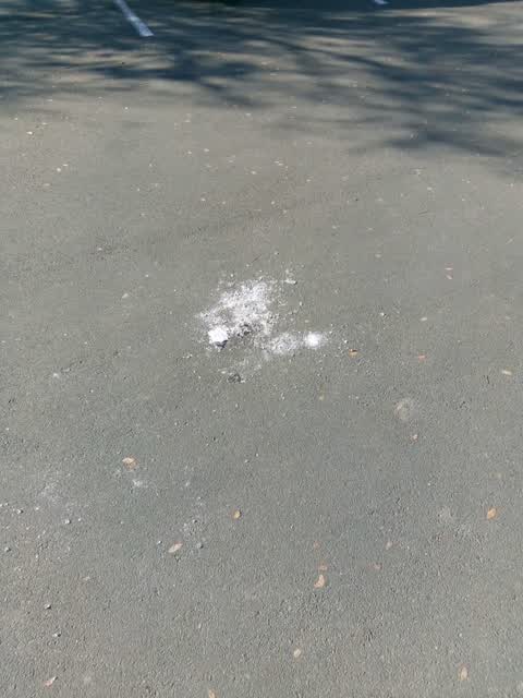 Parks — a report photo