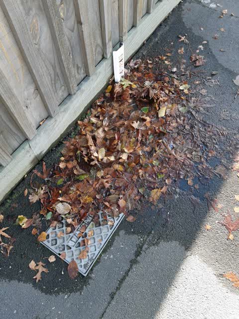 Water Supply, a report photo