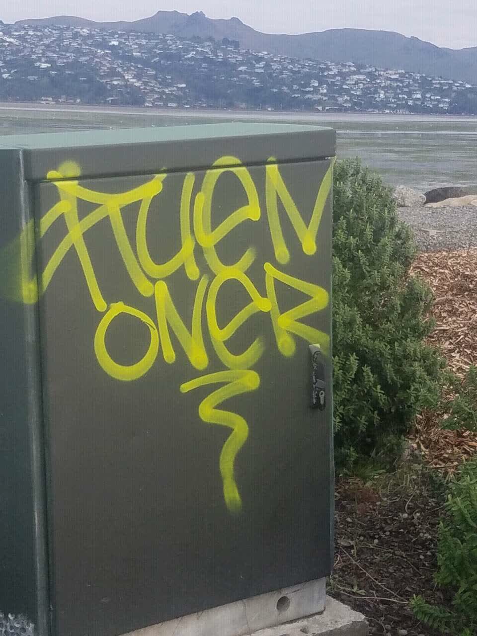 The photograph attached to this graffiti report