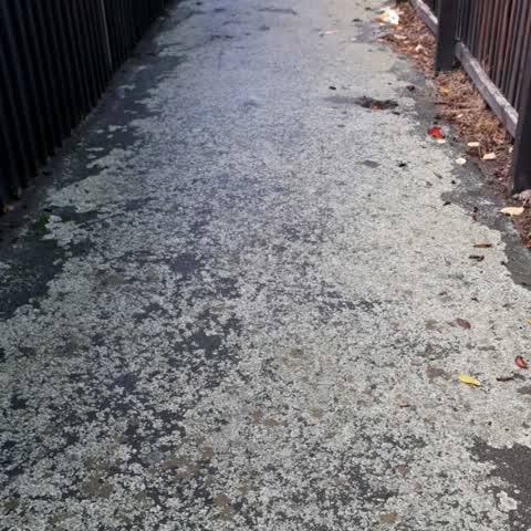 Roading/Streets, a report photo
