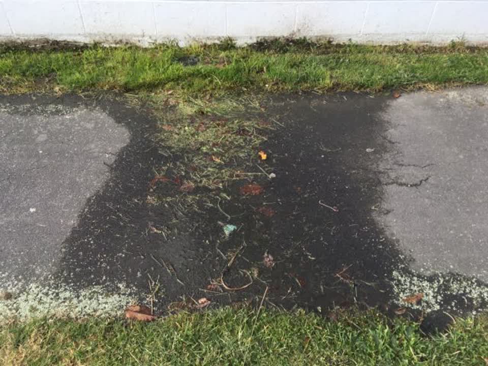 The photograph attached to this water supply report