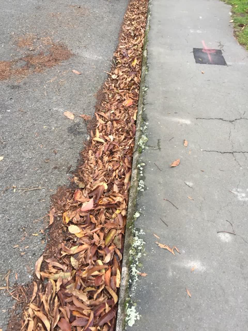 The photograph attached to this wastewater/stormwater report