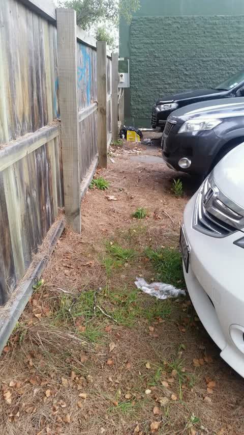 Rubbish/Recycling, a report photo