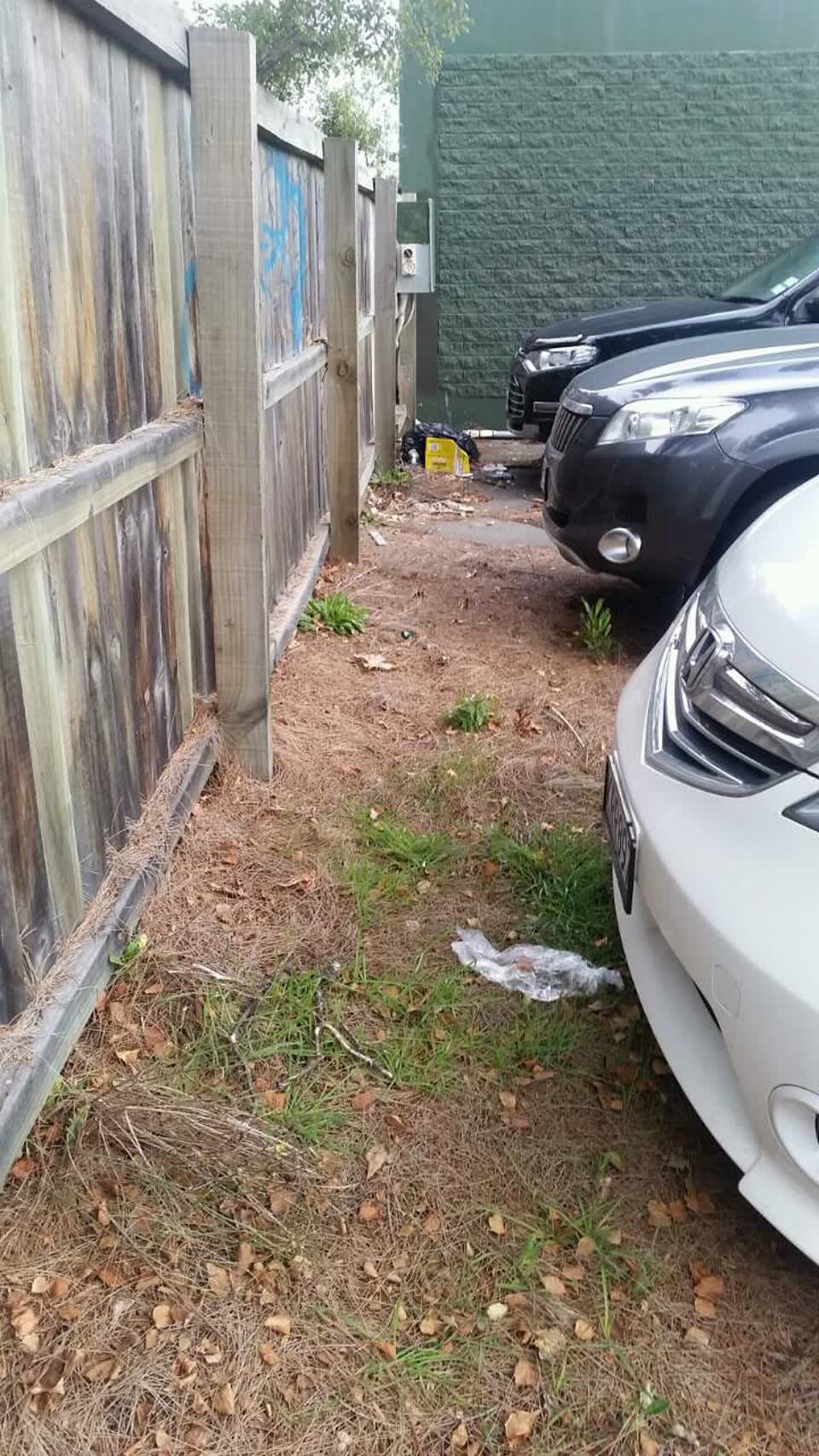 The photograph attached to this rubbish/recycling report